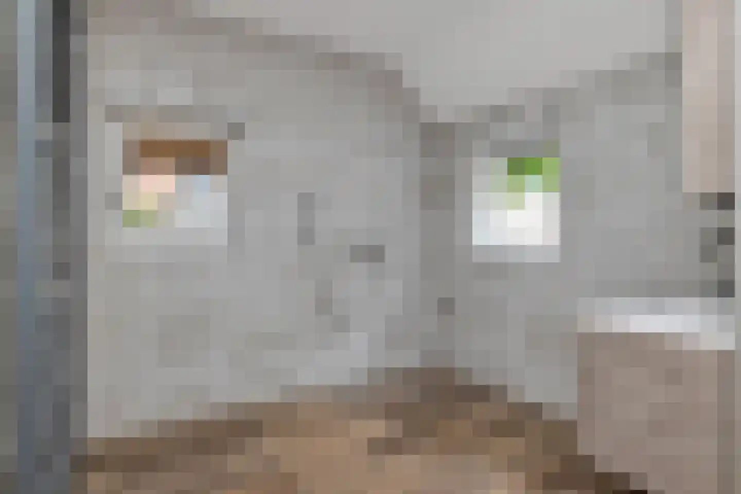 Bewestenwege 27 's-Heer Arendskerke thumbnail 26