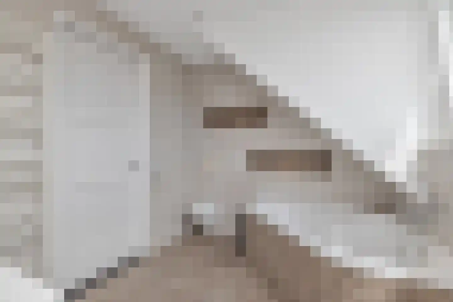 Bewestenwege 27 's-Heer Arendskerke thumbnail 35