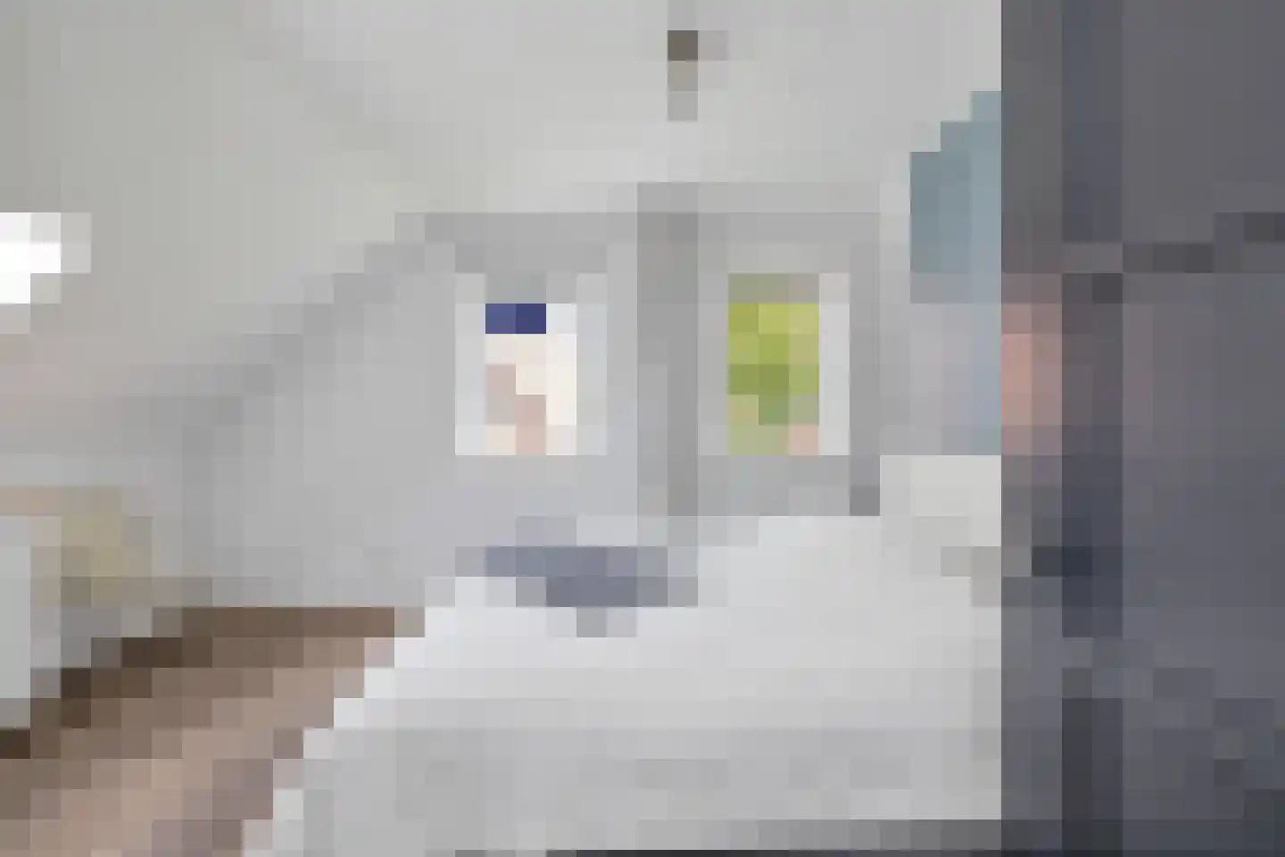 Bewestenwege 27 's-Heer Arendskerke thumbnail 37