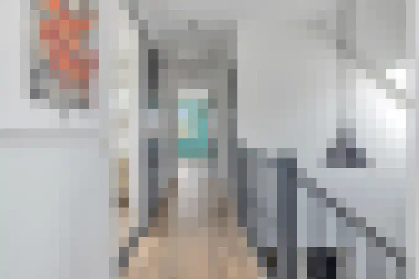 Bewestenwege 27 's-Heer Arendskerke thumbnail 39