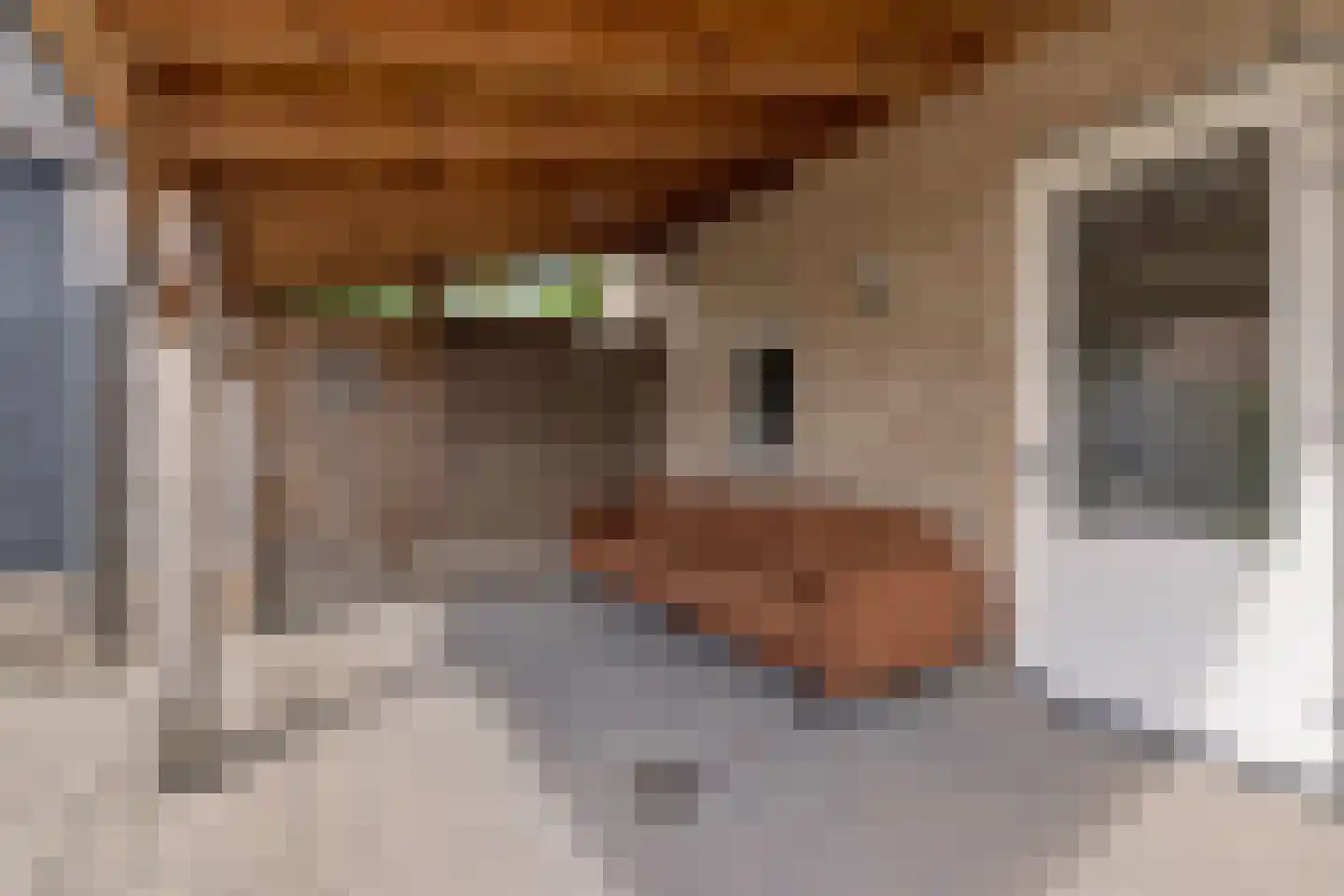 Bewestenwege 27 's-Heer Arendskerke thumbnail 47
