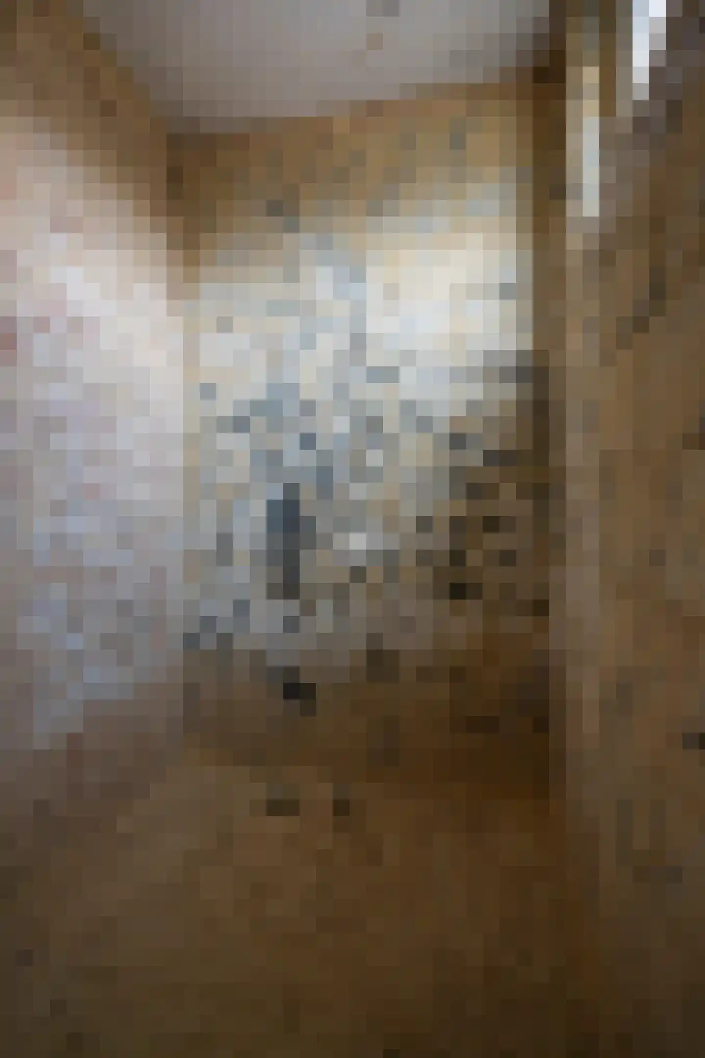 Bexdellestraat 9 B Brunssum thumbnail 17