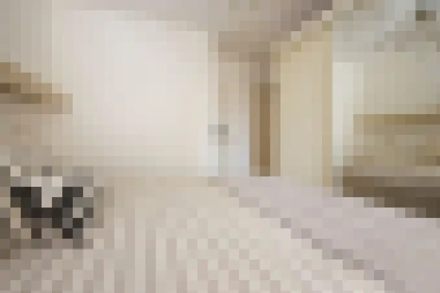 Beyaert 7 Noordwijk thumbnail 33