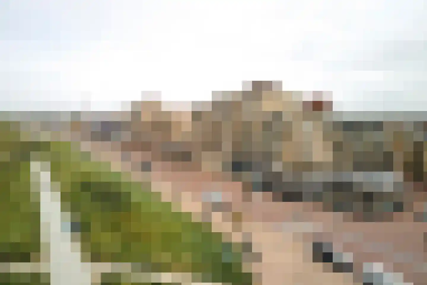 Beyaert 7 Noordwijk thumbnail 5