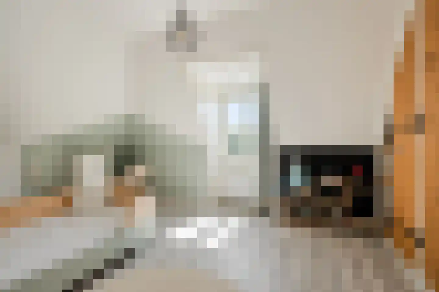Beyaertlaan 23 Heemskerk thumbnail 20