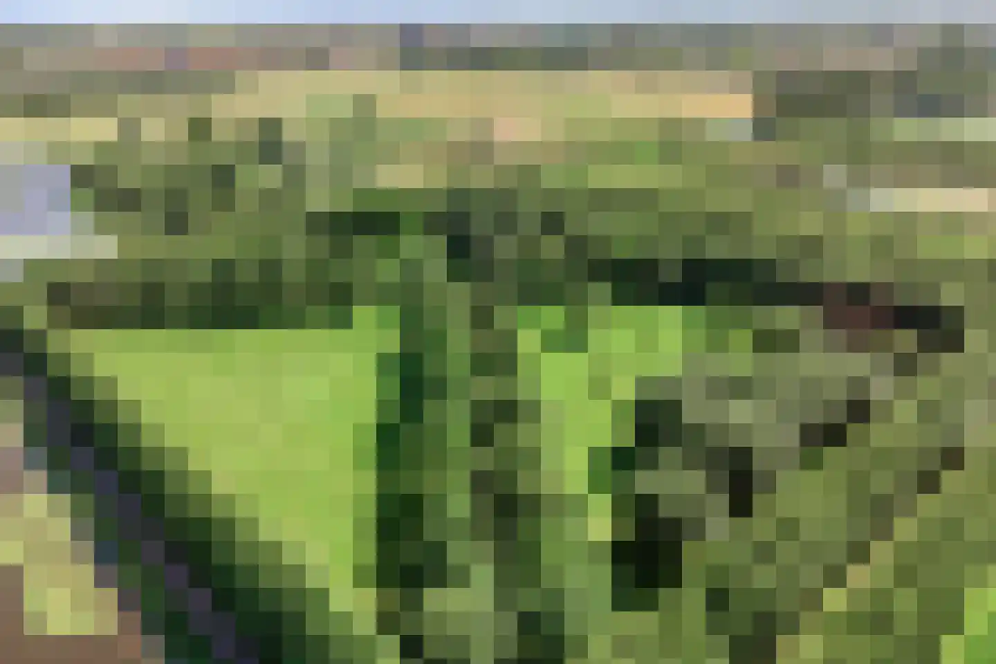 Beyaertlaan 23 Heemskerk thumbnail 36