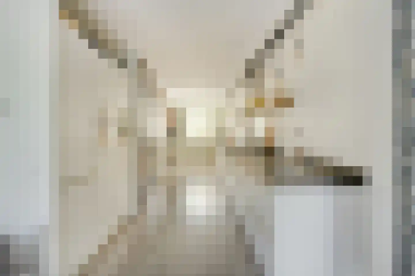 Beyaertlaan 23 Heemskerk thumbnail 8