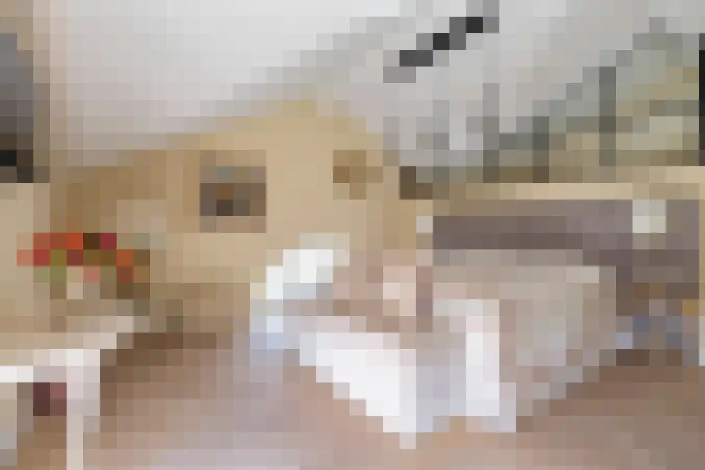 Beyaertlaan 50 Heemskerk thumbnail 41