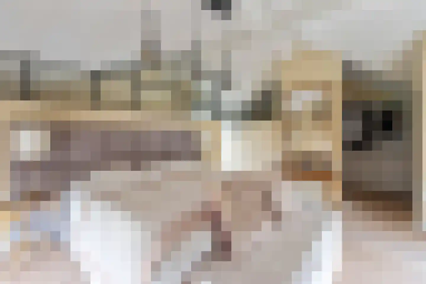 Beyaertlaan 50 Heemskerk thumbnail 42