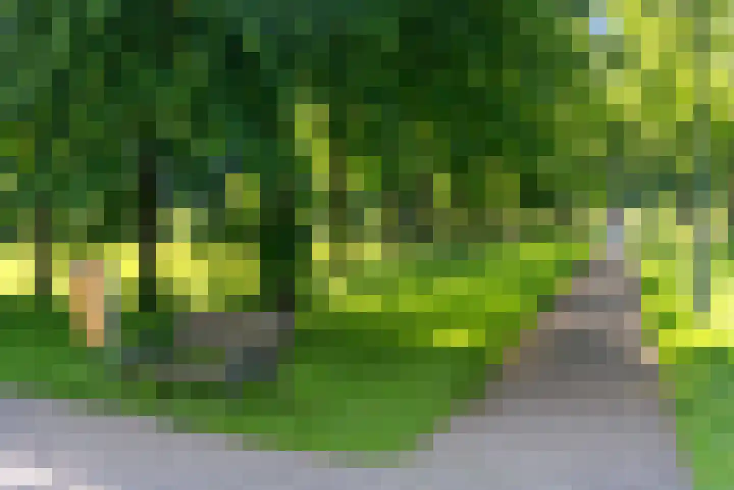 Beyaertlaan 50 Heemskerk thumbnail 57