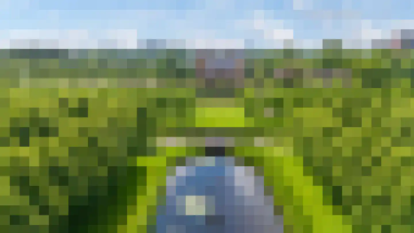 Beyaertlaan 50 Heemskerk thumbnail 68