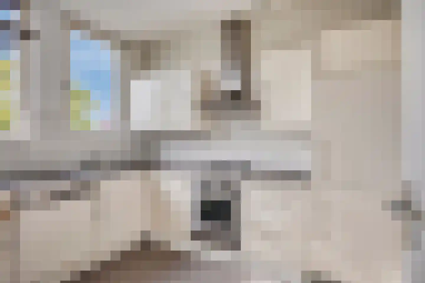 Beyerd 53 Breda thumbnail 9