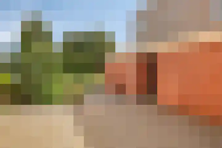Beyerinckstraat 2 09 Kampen thumbnail 33