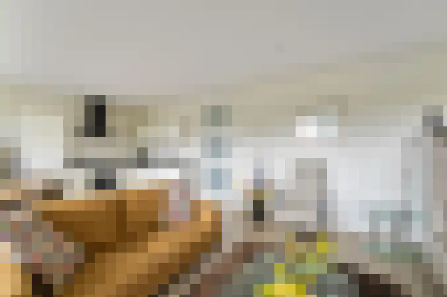 Beyerinckstraat 4 E Kampen thumbnail 18