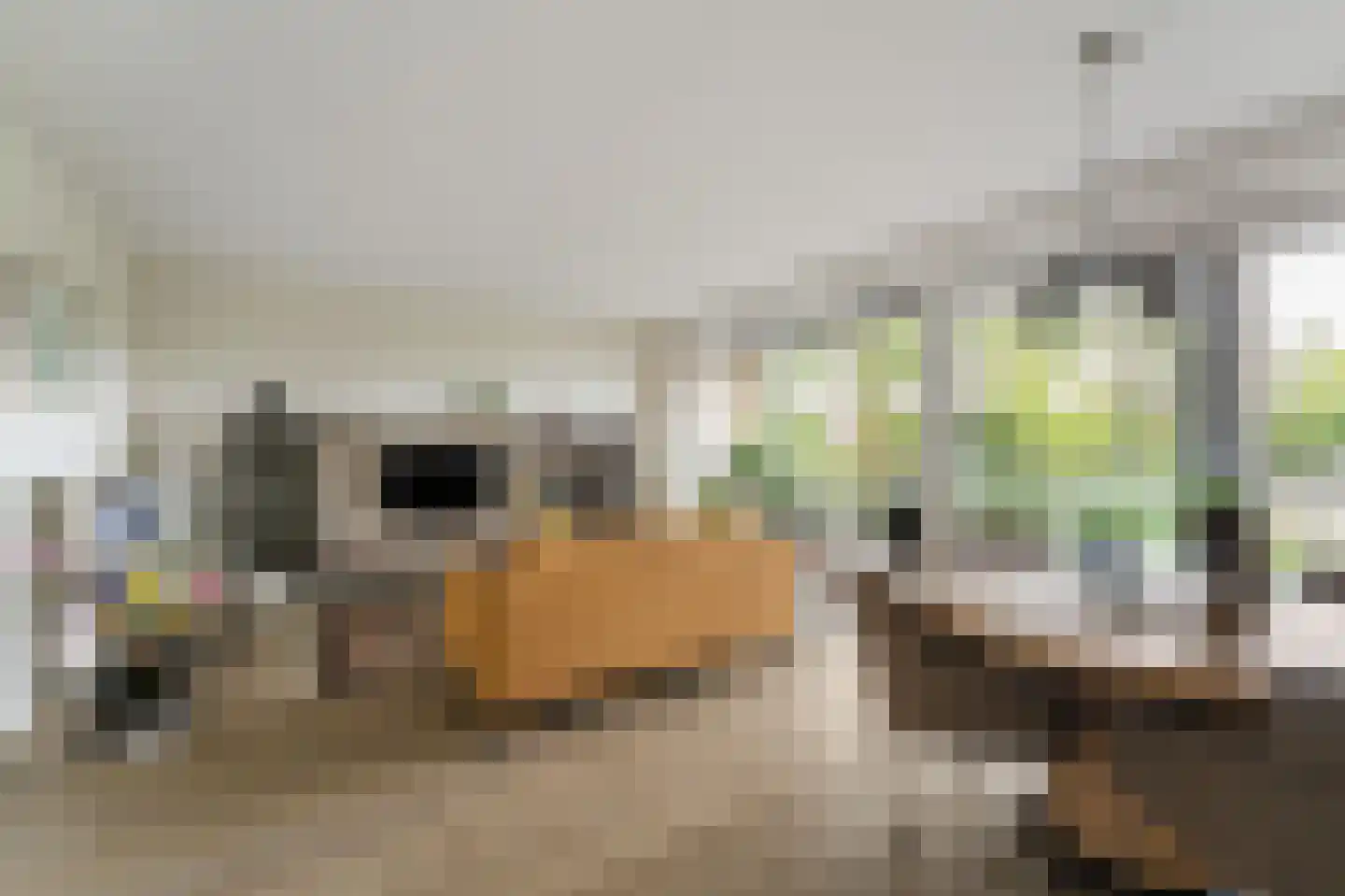Beyerinckstraat 4 E Kampen thumbnail 19