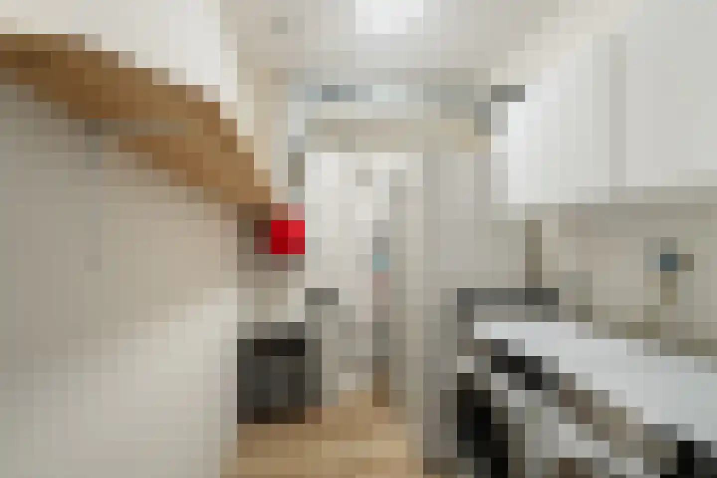 Beyerinckstraat 4 E Kampen thumbnail 33