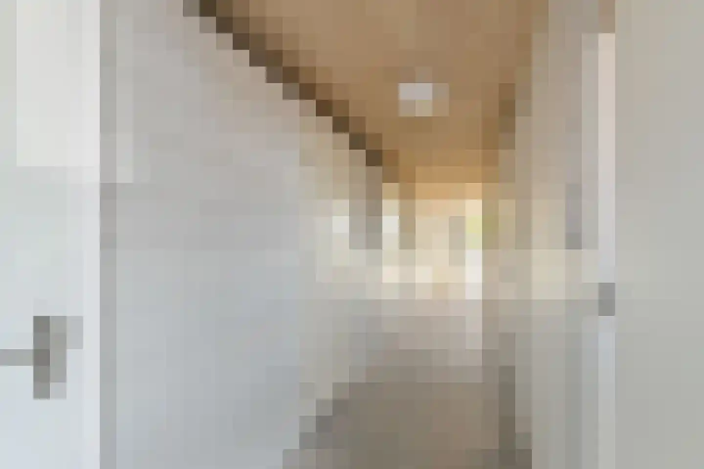 Beyerinckstraat 4 E Kampen thumbnail 36