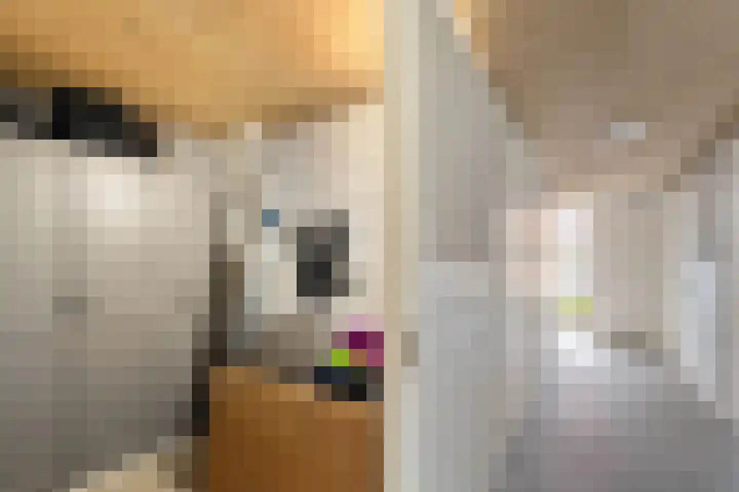 Beyerinckstraat 4 E Kampen thumbnail 38