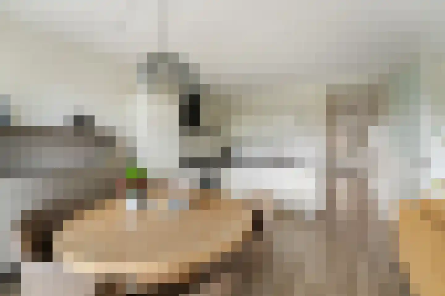 Beyerinckstraat 4 E Kampen thumbnail 4