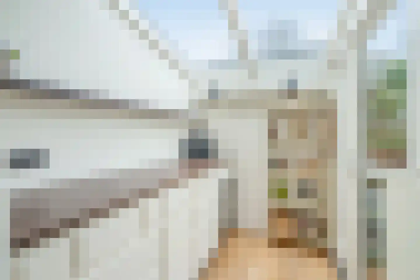 Beyerinckstraat 6 Delft thumbnail 21