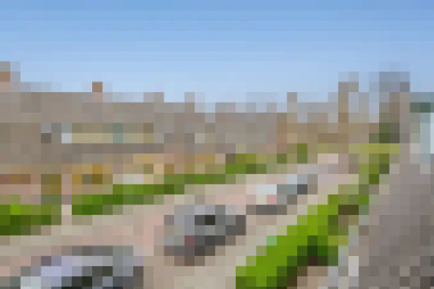 Beyerinckstraat 6 Delft thumbnail 34