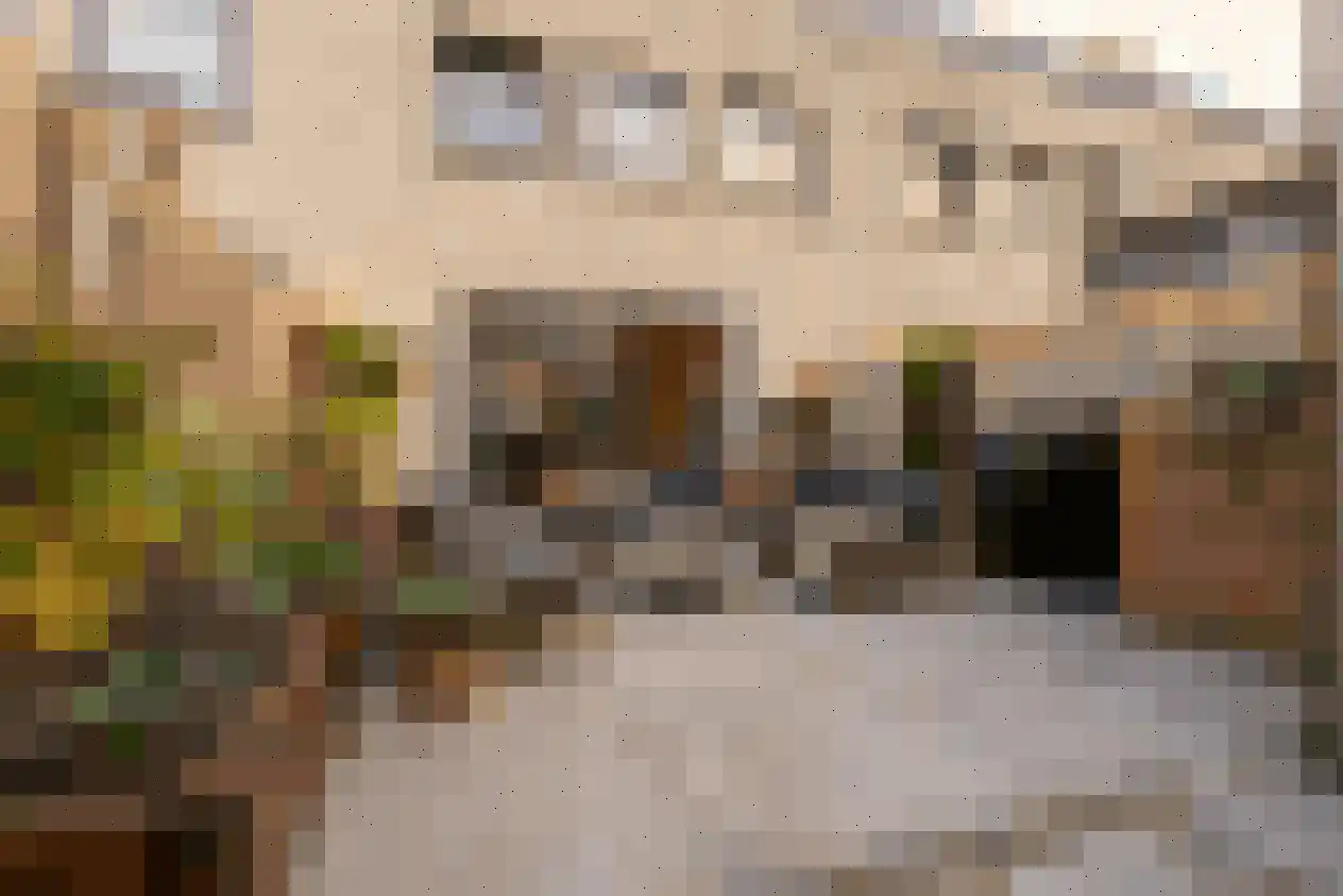 Beyersstraat 28 Rotterdam thumbnail 17