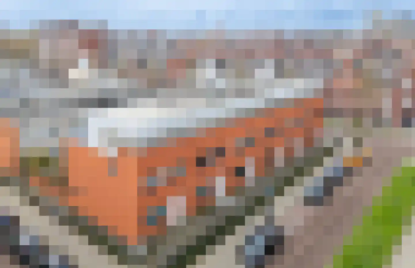 Beyersstraat 28 Rotterdam thumbnail 6