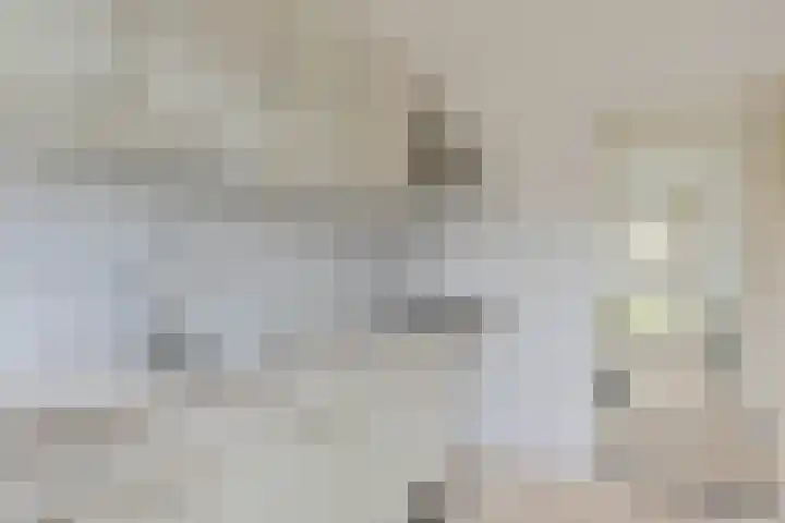Beyertstrjitte 24 Holwert thumbnail 7