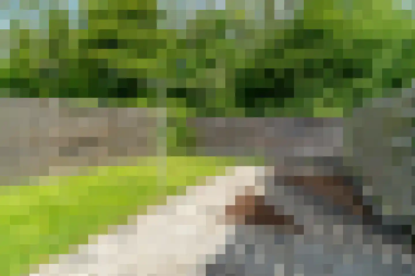 Beyertstrjitte 31 Holwert thumbnail 29