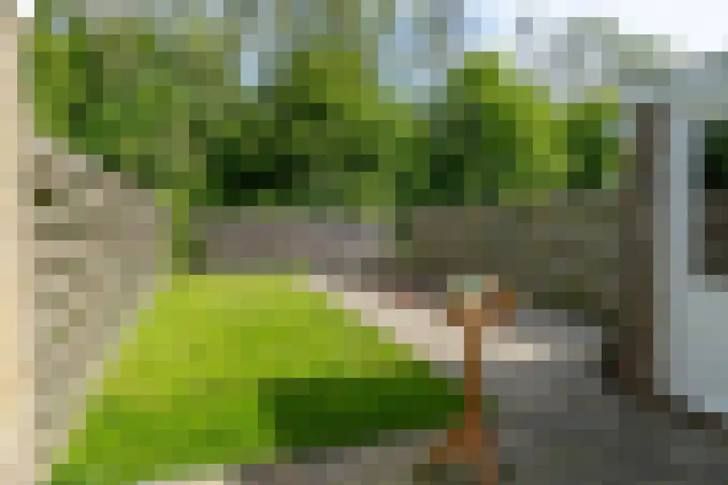 Beyertstrjitte 31 Holwert thumbnail 4