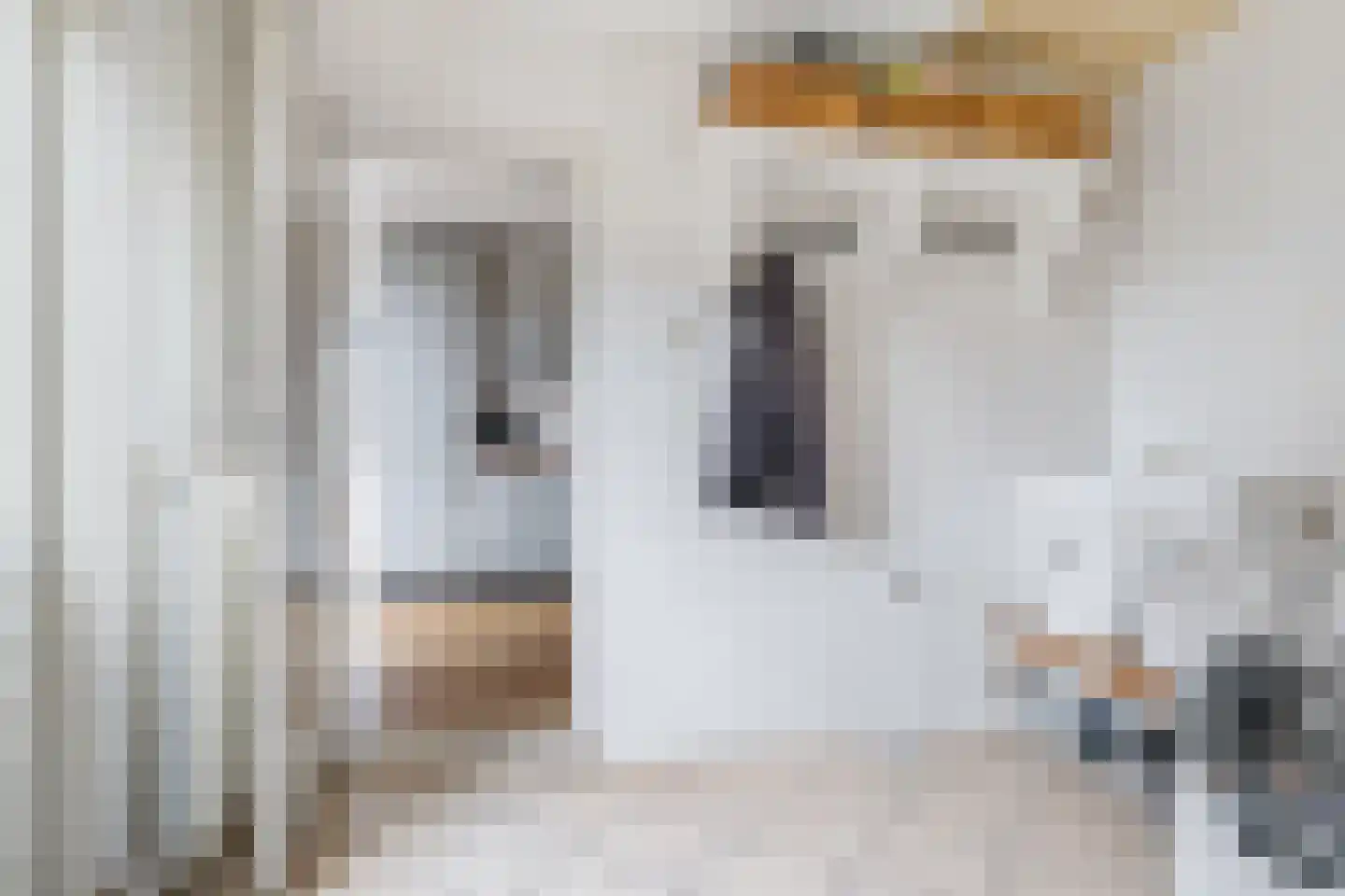 Beyertstrjitte 93 Holwert thumbnail 17