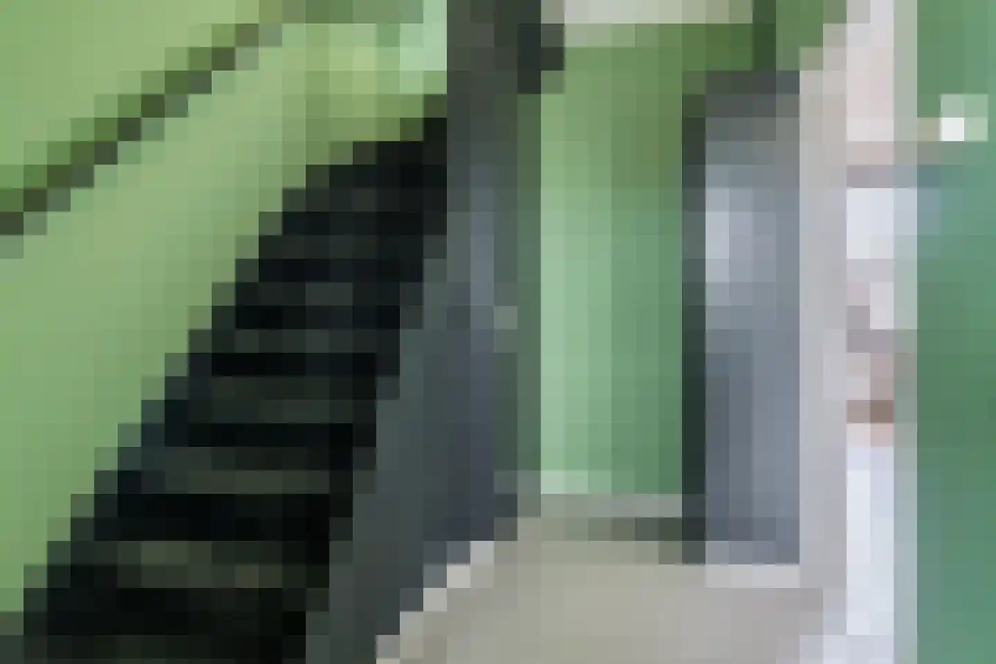 Beyertstrjitte 93 Holwert thumbnail 20