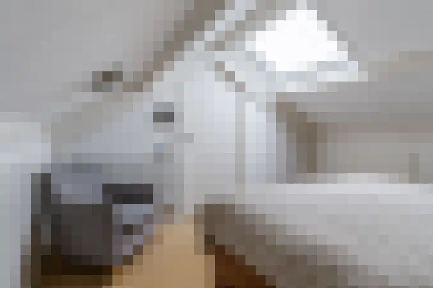 Beyertstrjitte 93 Holwert thumbnail 31
