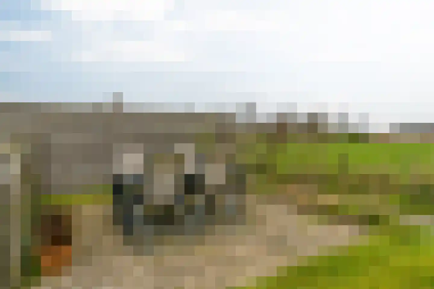 Beyertstrjitte 93 Holwert thumbnail 36