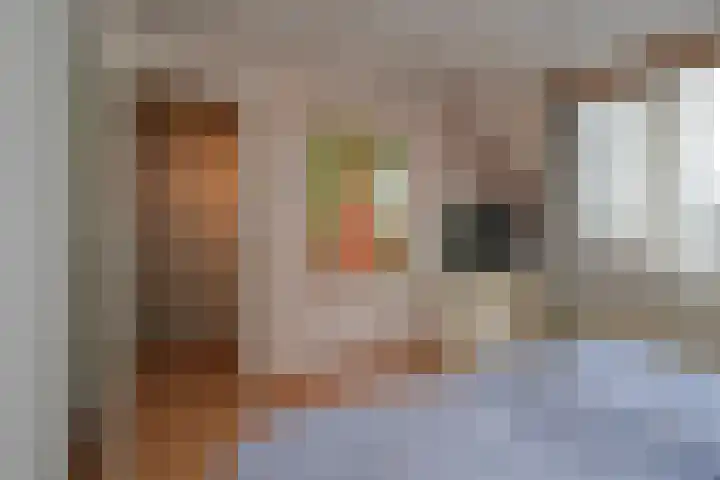 Beymahuis 21 Almelo thumbnail 13