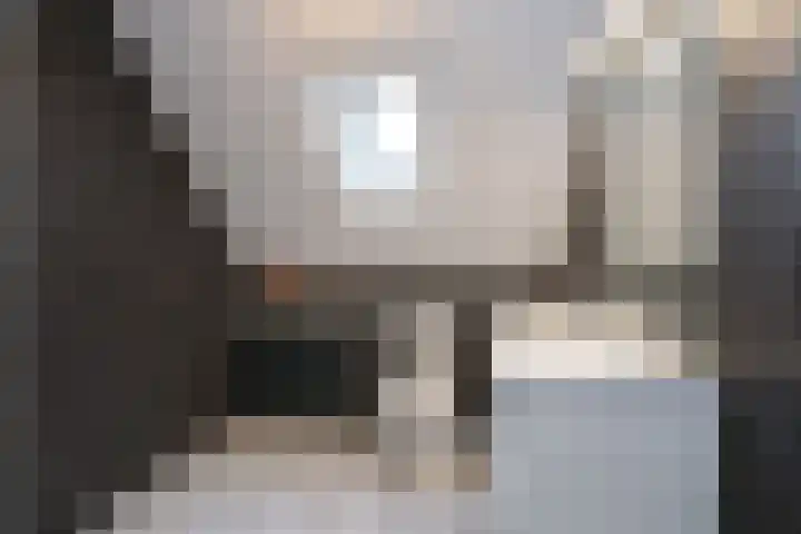 Beymahuis 21 Almelo thumbnail 15