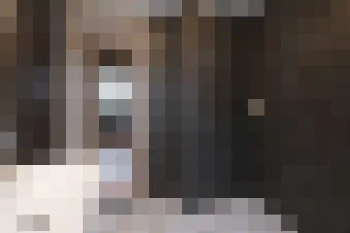 Beymahuis 21 Almelo thumbnail 16