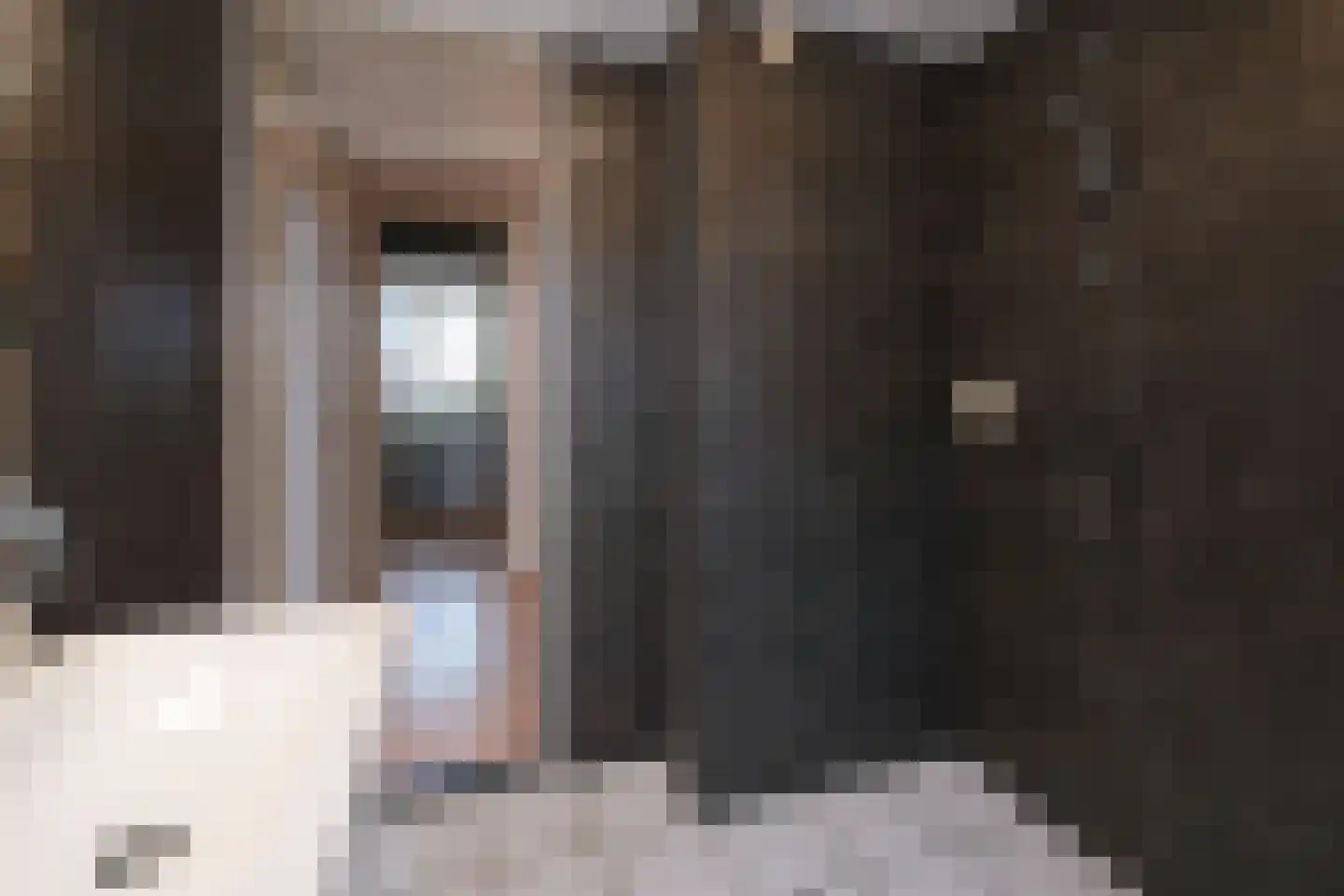 Beymahuis 21 Almelo thumbnail 16