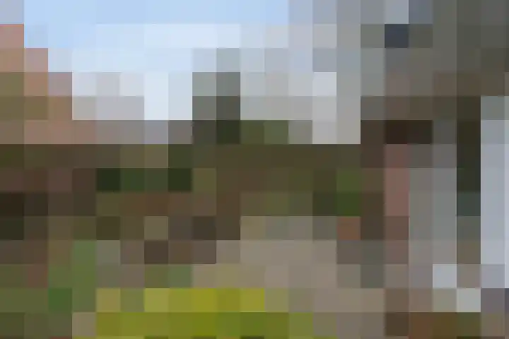 Beymahuis 21 Almelo thumbnail 18