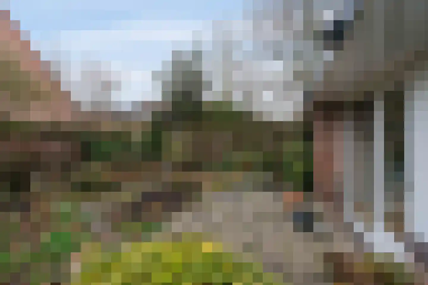 Beymahuis 21 Almelo thumbnail 18