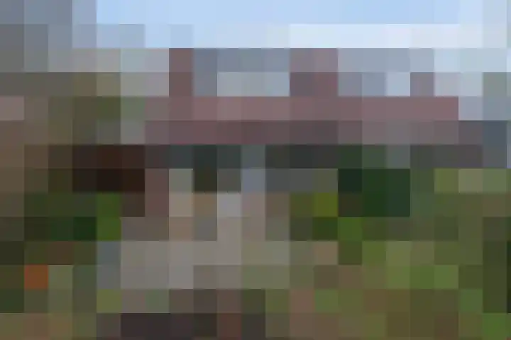 Beymahuis 21 Almelo thumbnail 19