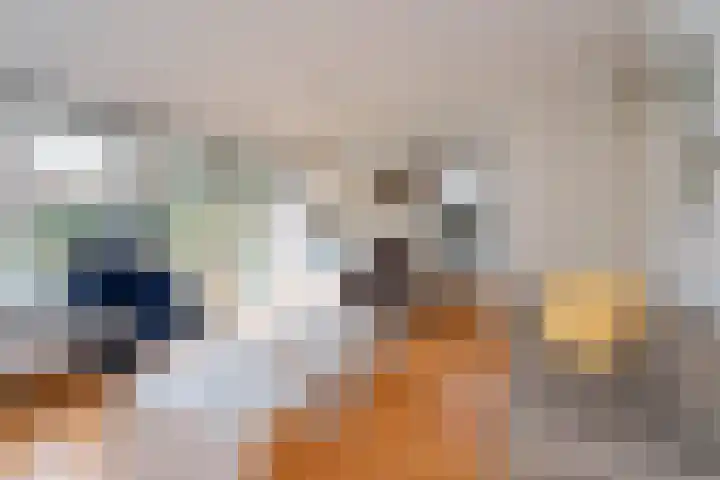 Beymahuis 21 Almelo thumbnail 7