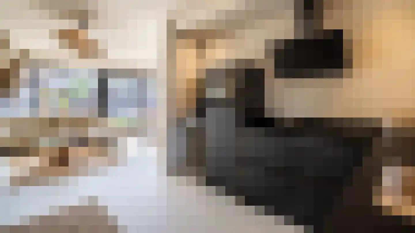 Beymahuis 9 Almelo thumbnail 12
