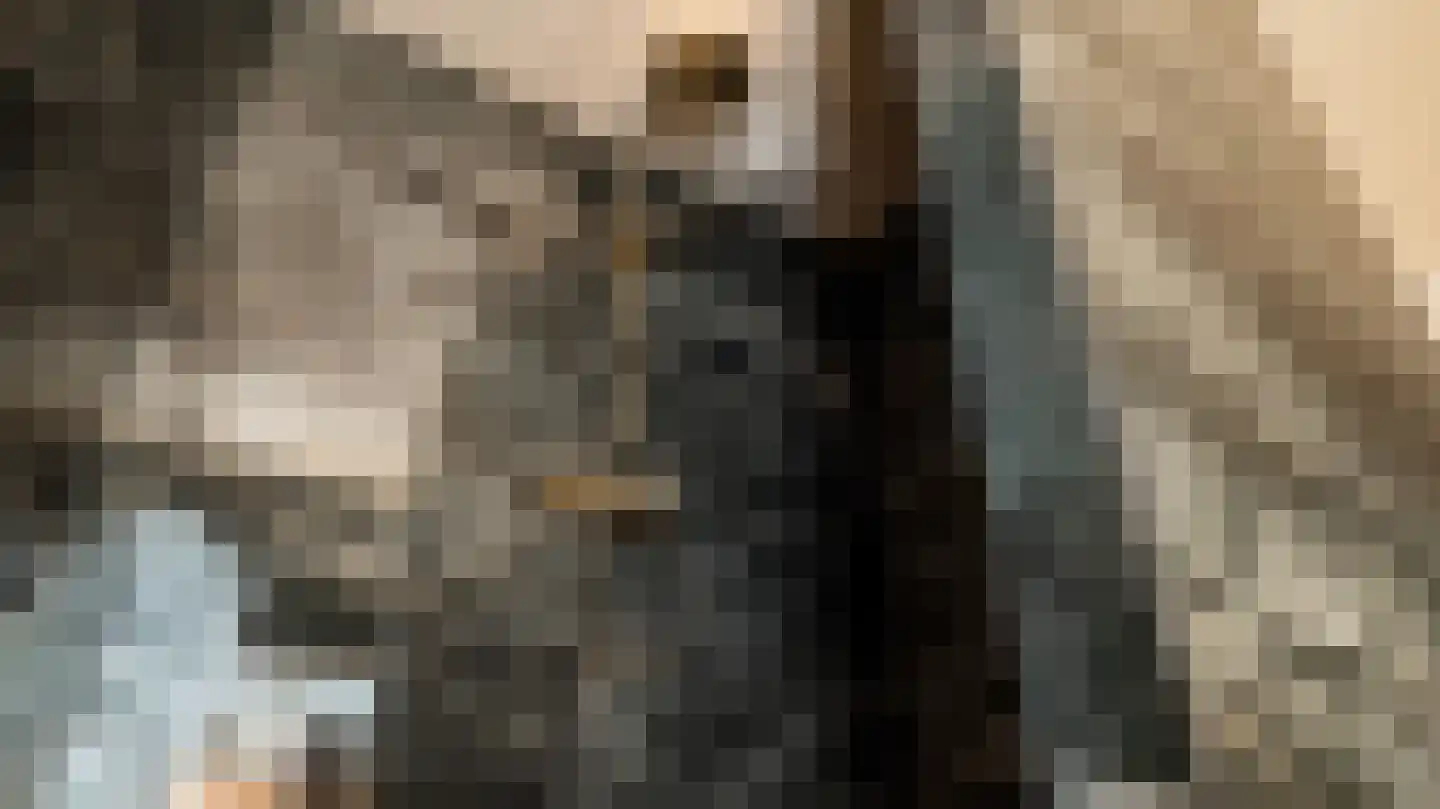 Beymahuis 9 Almelo thumbnail 24