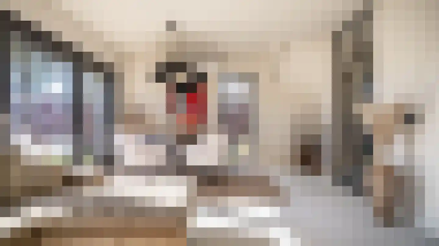 Beymahuis 9 Almelo thumbnail 7