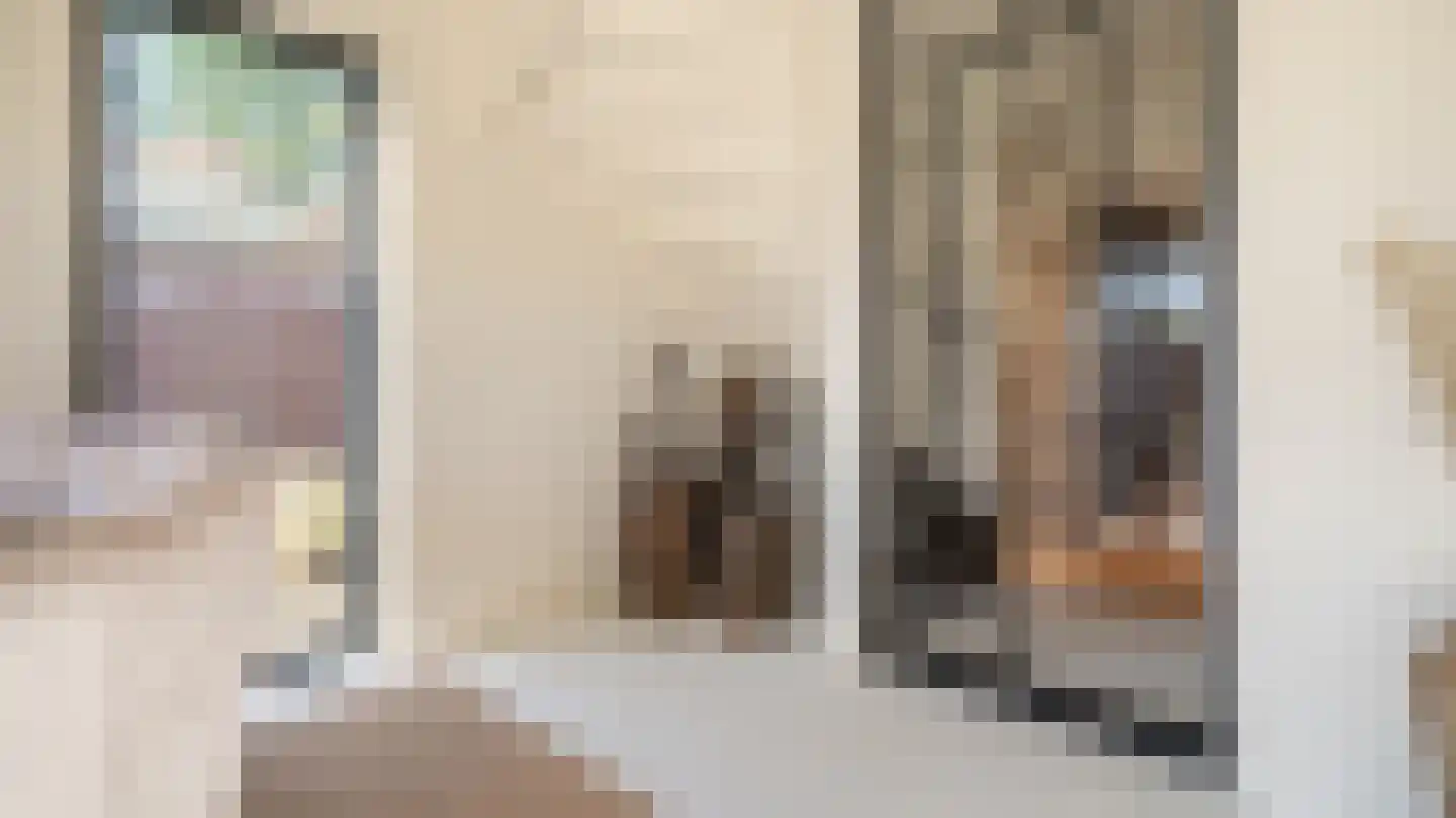 Beymahuis 9 Almelo thumbnail 9