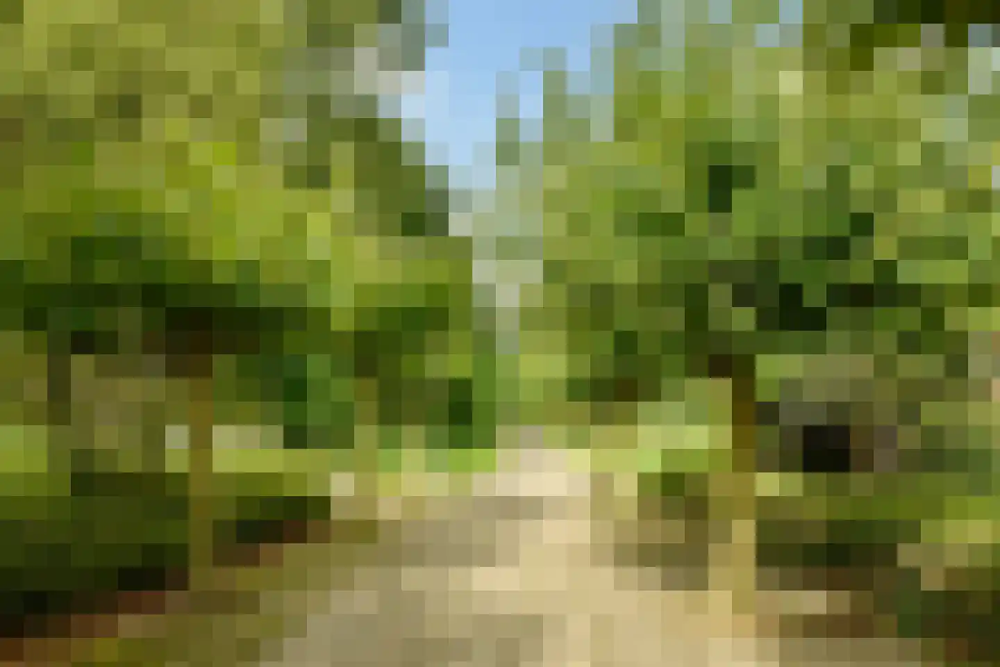 Beysterveld 11 Amsterdam thumbnail 29