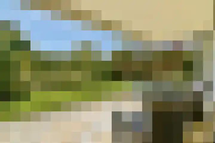 Beysterveld 123 Amsterdam thumbnail 11