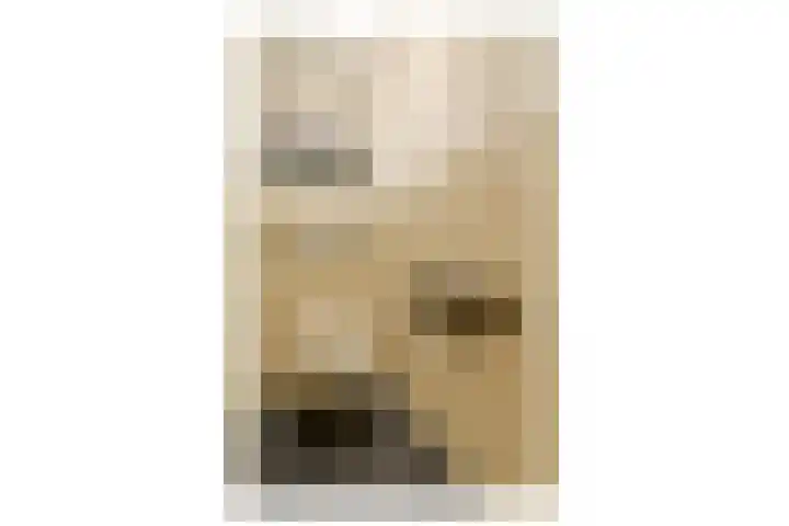Beysterveld 123 Amsterdam thumbnail 19