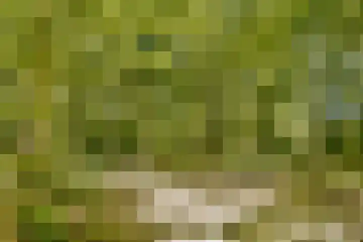 Beysterveld 123 Amsterdam thumbnail 22